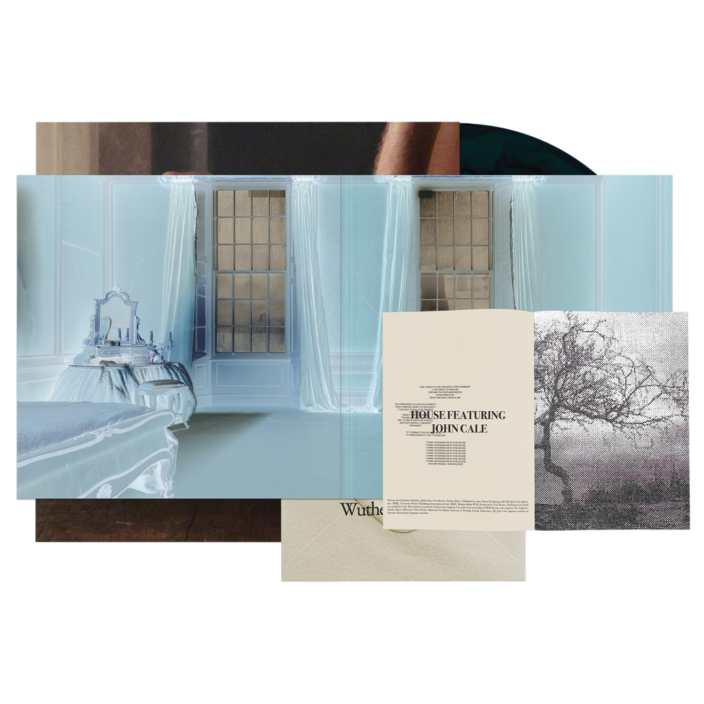 Wuthering Heights Vinyl – charli xcx US store