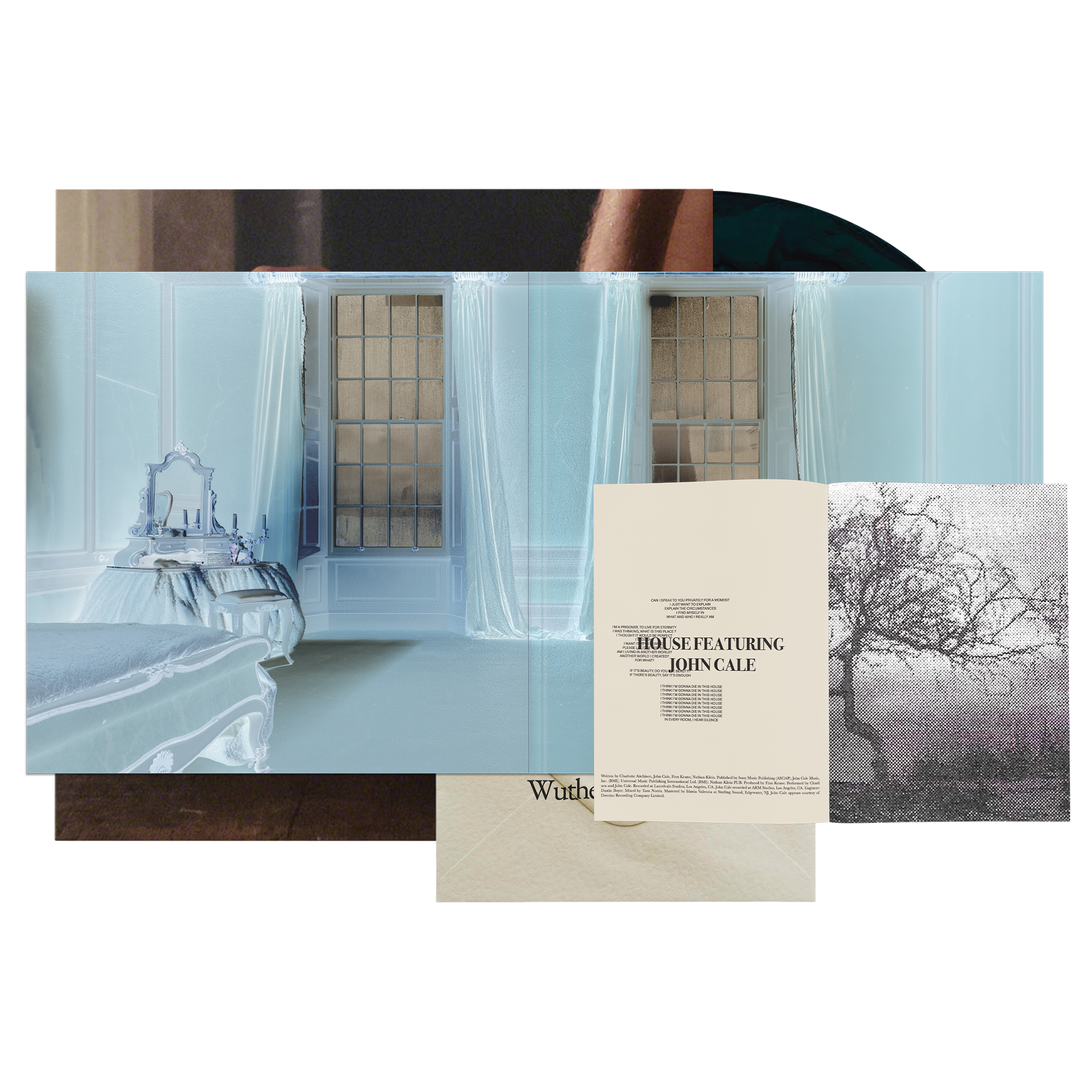 Wuthering Heights Vinyl – charli xcx US store